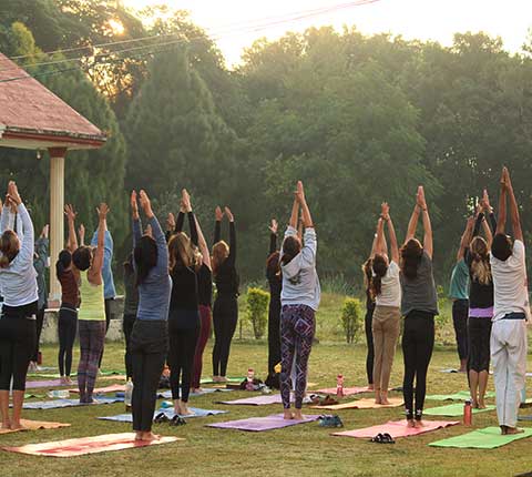 yoga teacher training retreats In india